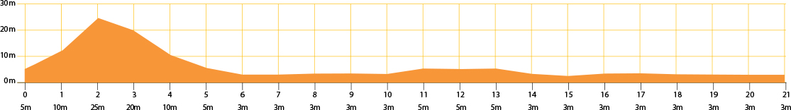 Meia Maratona Internacional Do Rio