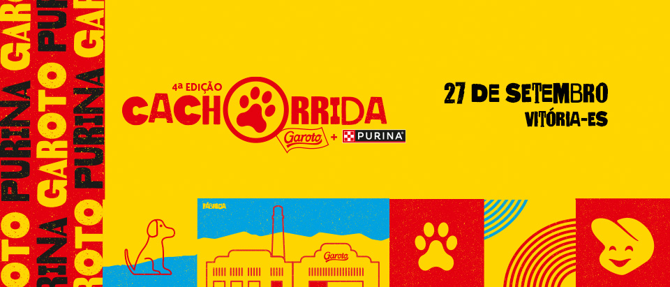 Cachorrida Garoto