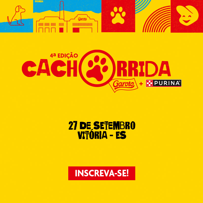 Cachorrida Garoto